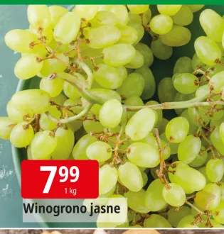 winogrona jasne
