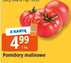pomidory malinowe