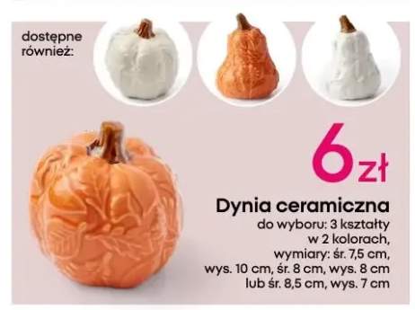 dynia