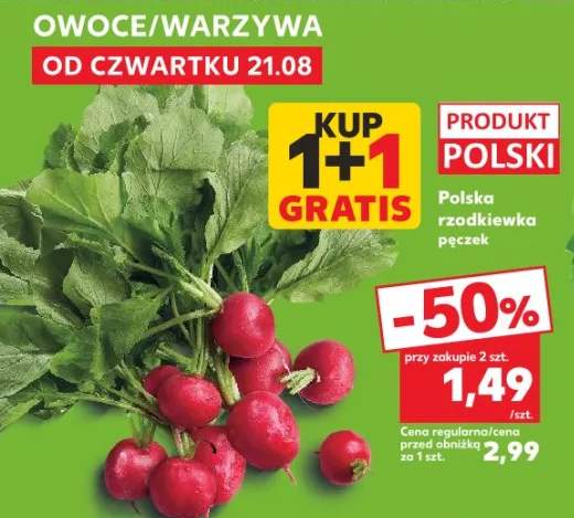 rzodkiewka