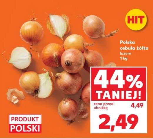 cebula żółta
