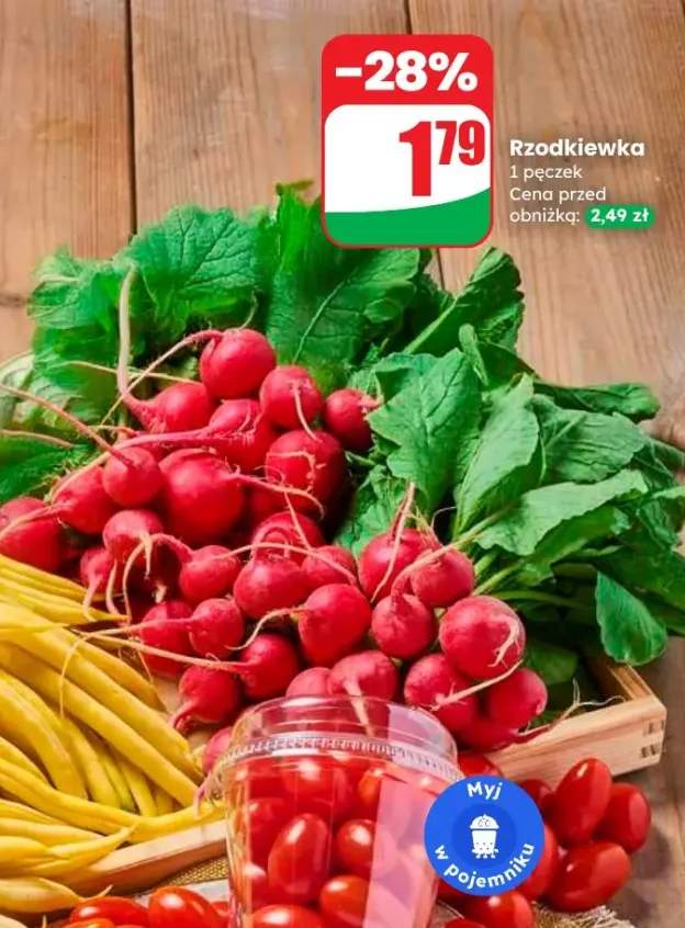 rzodkiewka