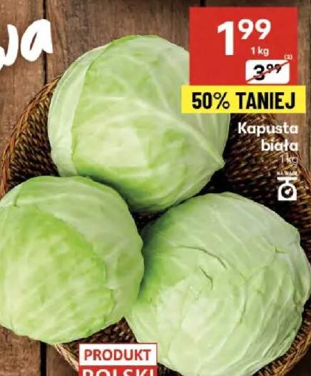 kapusta biała
