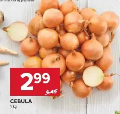 cebula