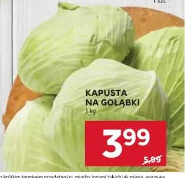 kapusta
