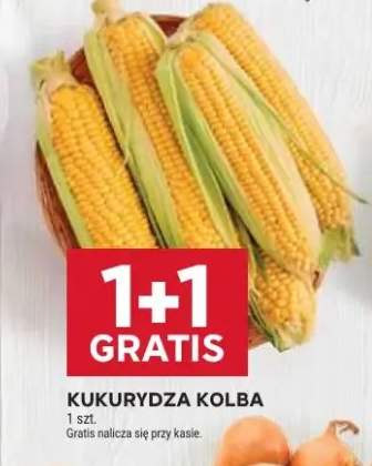 kukurydza