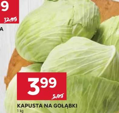 kapusta