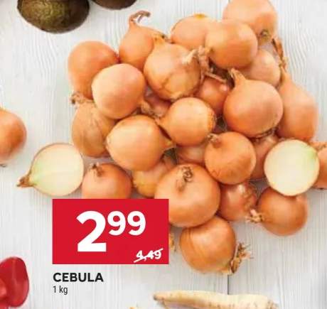 cebula