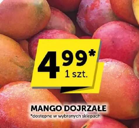 mango
