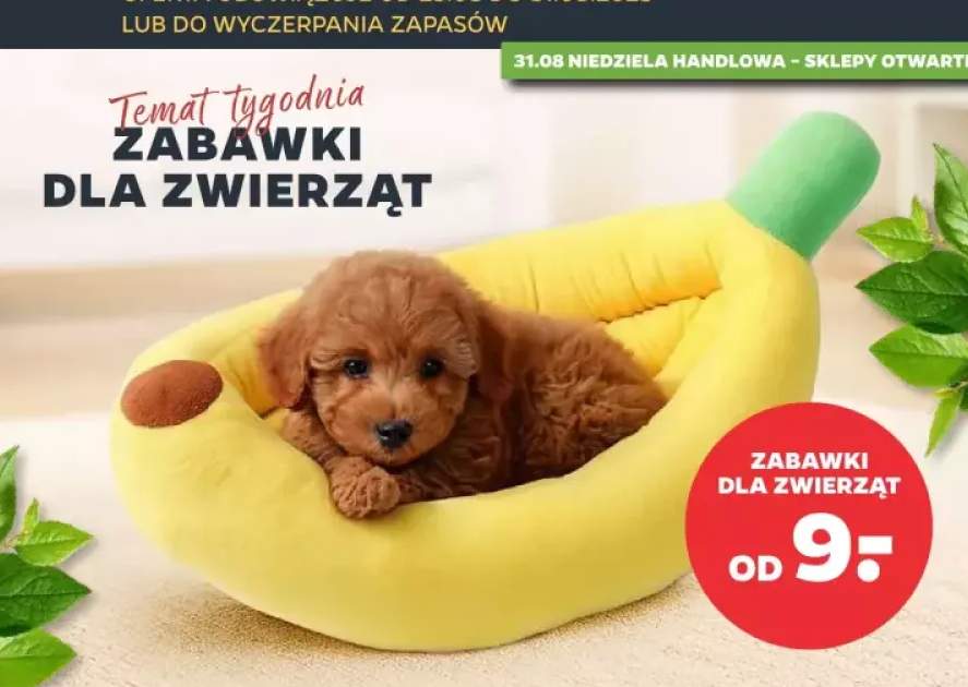 zabawka dla psa