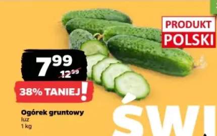 ogórek gruntowy