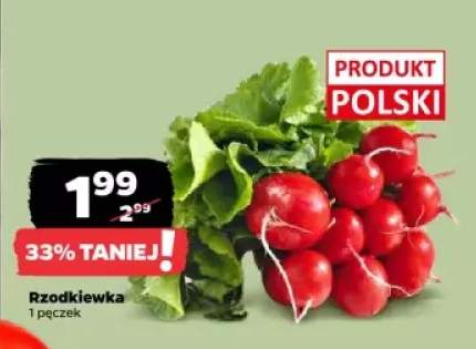 rzodkiewka