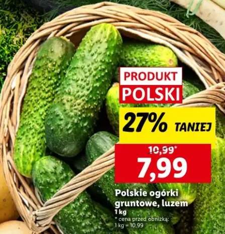 ogórek gruntowy