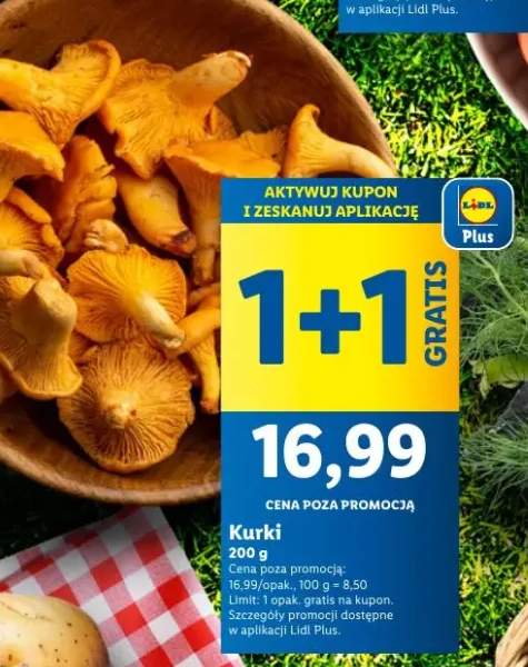 kurki