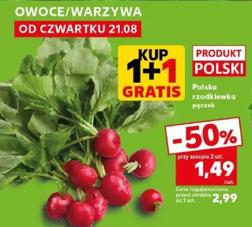 rzodkiewka