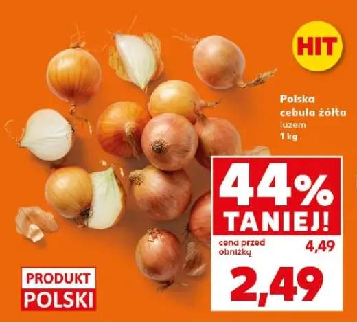 cebula żółta