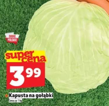 kapusta