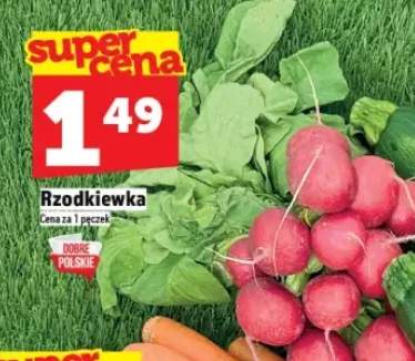 rzodkiewka