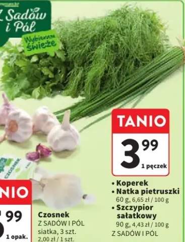 szczypiorek
