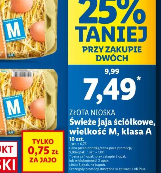 plecak