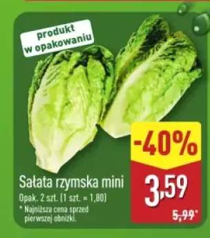 sałata rzymska
