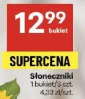 słonecznik