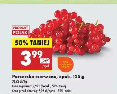 porzeczka czerwona