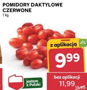 pomidory daktylowe