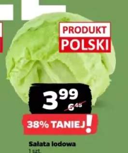 sałata lodowa