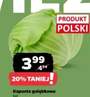 kapusta