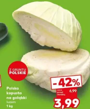 kapusta