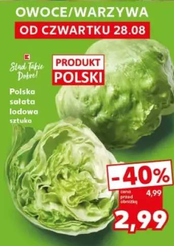 sałata lodowa