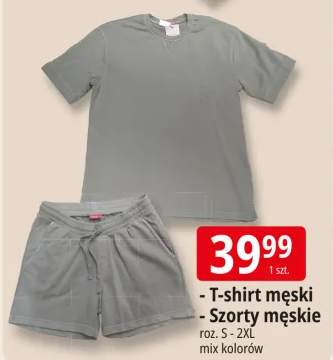 szorty męskie