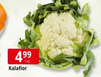 kalafior