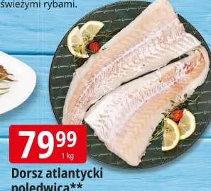 dorsz