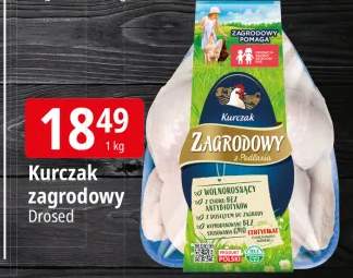 kurczak