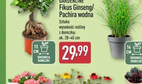 artykuły szkolne