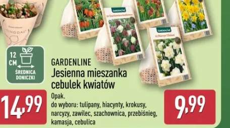 zeszyt