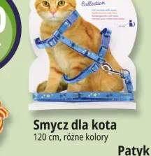 smycz