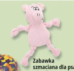 zabawka dla psa