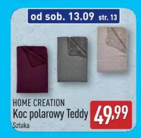 koc polarowy