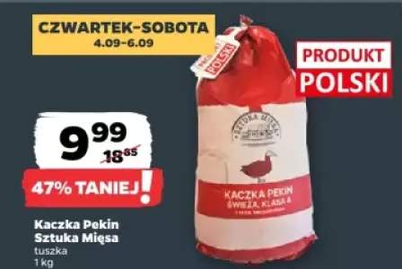 kaczka