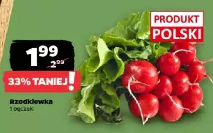 rzodkiewka