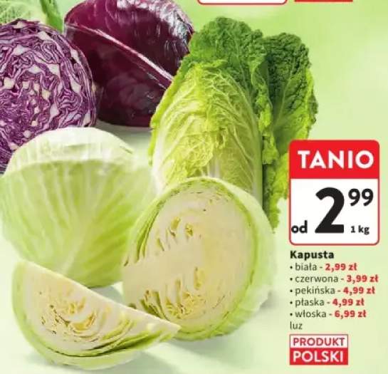 kapusta pekińska