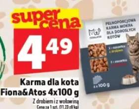 karma dla kota