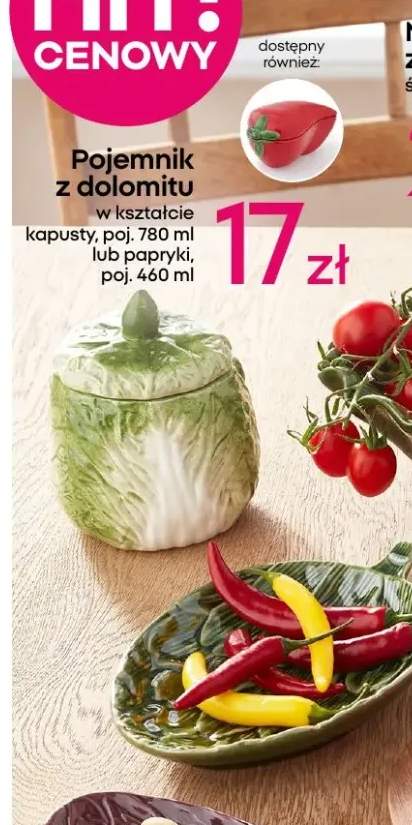 pojemnik