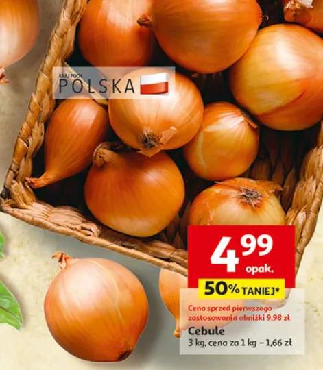 cebula