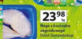 noga z kurczaka