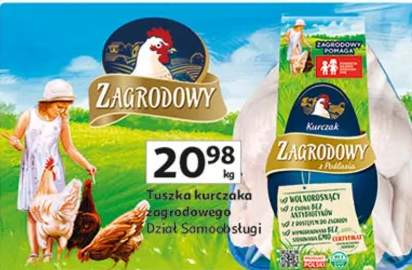 tuszka kurczaka