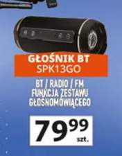 głośniki